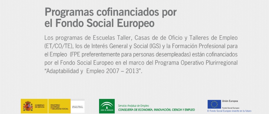 cartel_programas_sae_cofinanciados_fse_andalucia.jpg